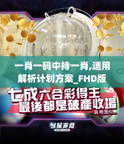 一肖一码中持一肖,适用解析计划方案_FHD版73.131-2