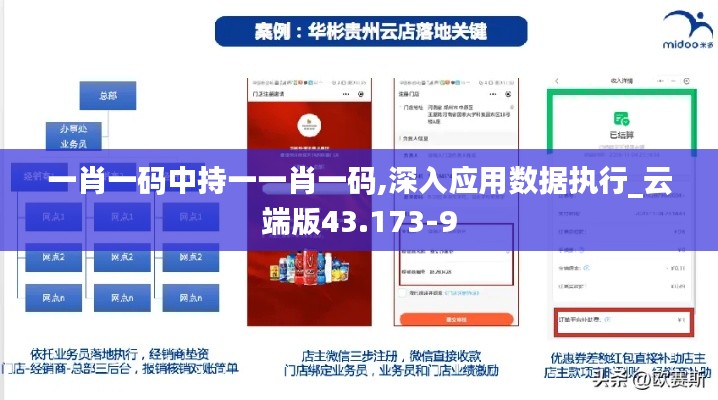 一肖一码中持一一肖一码,深入应用数据执行_云端版43.173-9