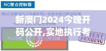 新澳门2024今晚开码公开,实地执行考察设计_VE版59.584-2