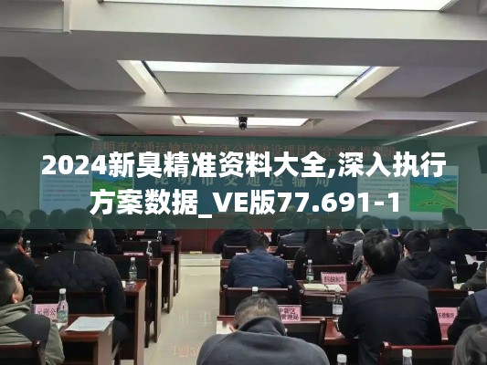 2024新臭精准资料大全,深入执行方案数据_VE版77.691-1