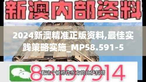 2024新澳精准正版资料,最佳实践策略实施_MP58.591-5
