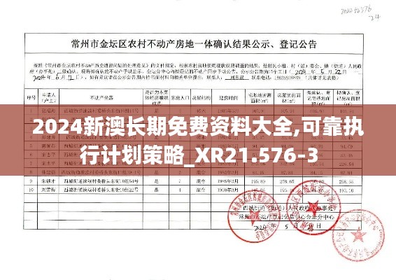 2024新澳长期免费资料大全,可靠执行计划策略_XR21.576-3