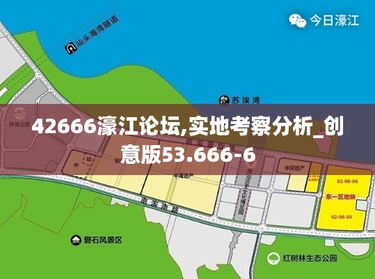 42666濠江论坛,实地考察分析_创意版53.666-6