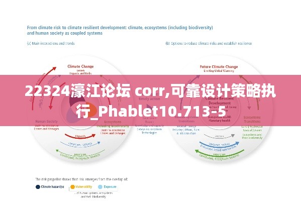 22324濠江论坛 corr,可靠设计策略执行_Phablet10.713-5