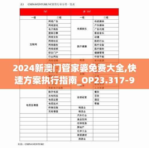 2024新澳门管家婆免费大全,快速方案执行指南_OP23.317-9