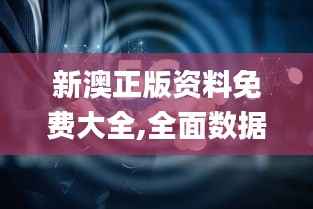新澳正版资料免费大全,全面数据应用执行_专业款58.608-4