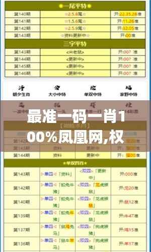 最准一码一肖100%凤凰网,权威分析说明_复刻版15.951-9