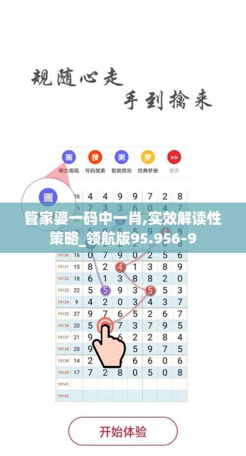 管家婆一码中一肖,实效解读性策略_领航版95.956-9