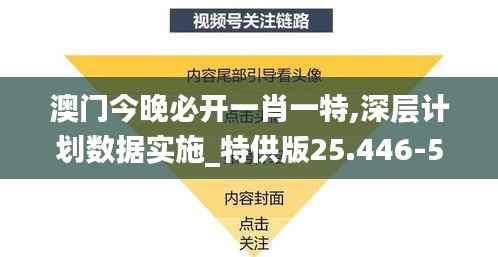 澳门今晚必开一肖一特,深层计划数据实施_特供版25.446-5