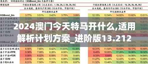 2024澳门今天特马开什么,适用解析计划方案_进阶版13.212-7