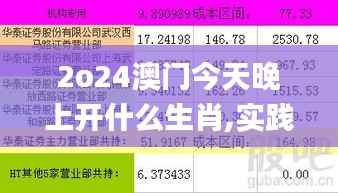 2o24澳门今天晚上开什么生肖,实践数据解释定义_Linux69.176-1