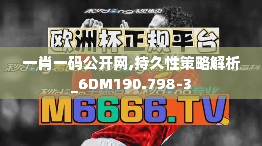 一肖一码公开网,持久性策略解析_6DM190.798-3