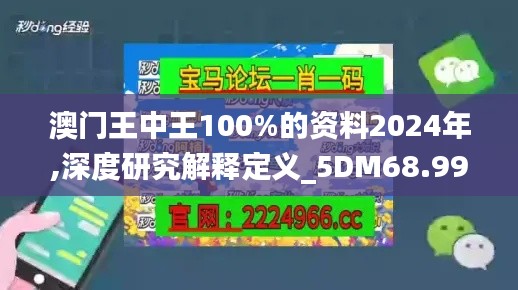 澳门王中王100%的资料2024年,深度研究解释定义_5DM68.995-3