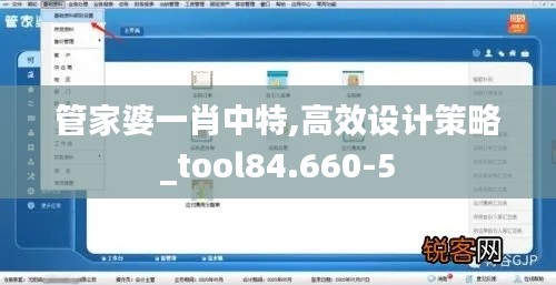 管家婆一肖中特,高效设计策略_tool84.660-5