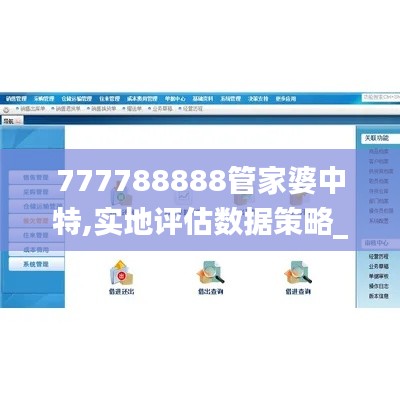 777788888管家婆中特,实地评估数据策略_创意版76.114-1