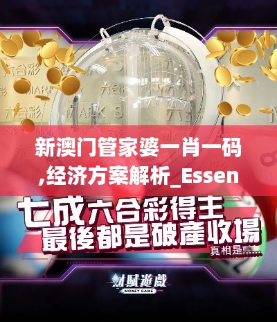 新澳门管家婆一肖一码,经济方案解析_Essential21.559-7
