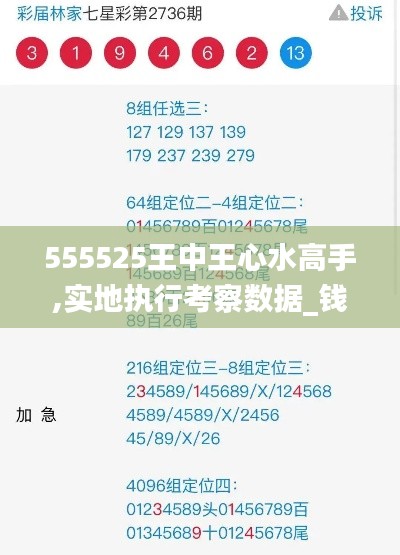 555525王中王心水高手,实地执行考察数据_钱包版9.948-6