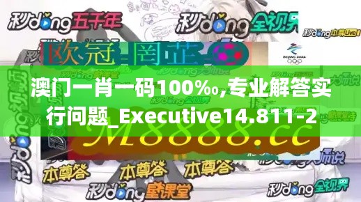 澳门一肖一码100‰,专业解答实行问题_Executive14.811-2