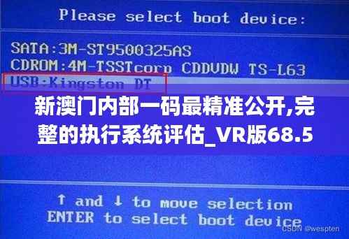 新澳门内部一码最精准公开,完整的执行系统评估_VR版68.596-3