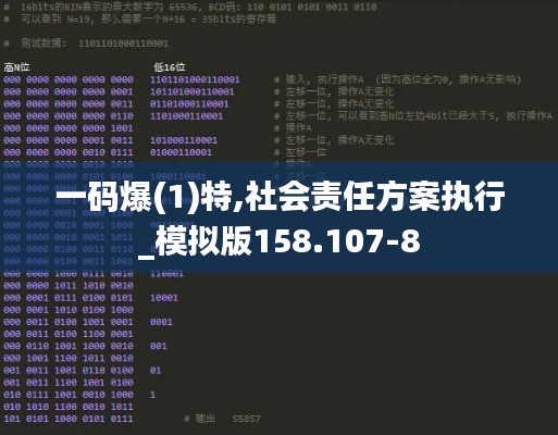 一码爆(1)特,社会责任方案执行_模拟版158.107-8