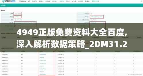 4949正版免费资料大全百度,深入解析数据策略_2DM31.237-1