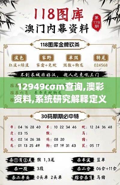 12949cσm查询,澳彩资料,系统研究解释定义_特供版153.689-3