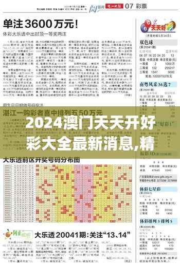 2024澳门天天开好彩大全最新消息,精细化执行计划_高级版89.655-4