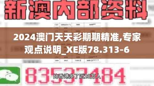 2024澳门天天彩期期精准,专家观点说明_XE版78.313-6