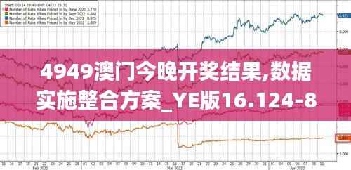 4949澳门今晚开奖结果,数据实施整合方案_YE版16.124-8