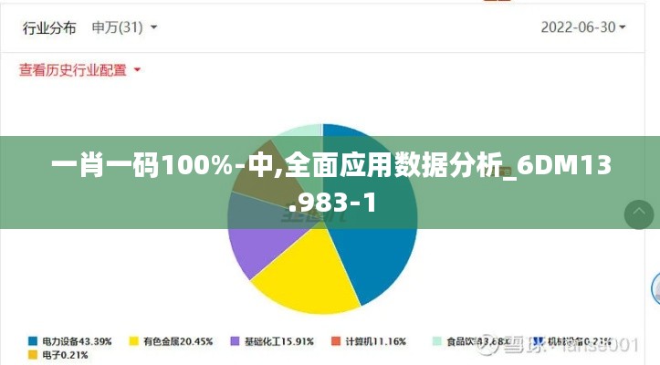 一肖一码100%-中,全面应用数据分析_6DM13.983-1