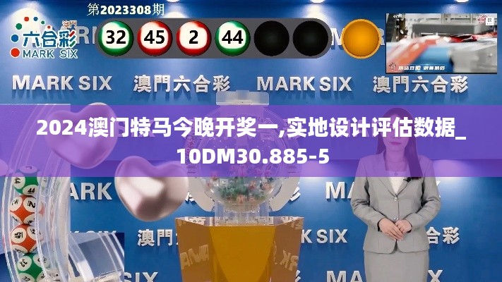 2024澳门特马今晚开奖一,实地设计评估数据_10DM30.885-5