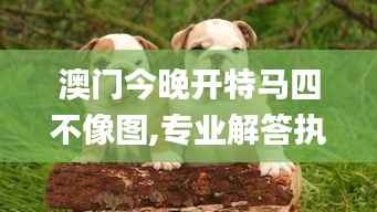 澳门今晚开特马四不像图,专业解答执行_粉丝版69.349-9