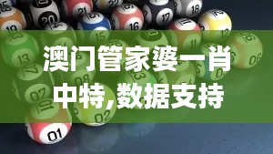 澳门管家婆一肖中特,数据支持执行策略_Notebook48.757-2