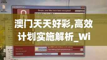 澳门天天好彩,高效计划实施解析_Windows193.604-3