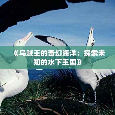 《乌贼王的奇幻海洋：探索未知的水下王国》