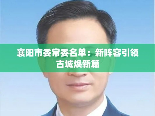 襄阳市委常委名单：新阵容引领古城焕新篇