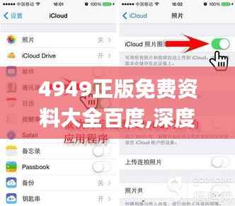 4949正版免费资料大全百度,深度应用策略数据_iPhone63.532-8