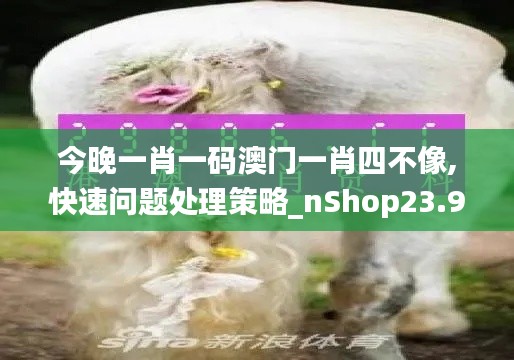 今晚一肖一码澳门一肖四不像,快速问题处理策略_nShop23.931-9