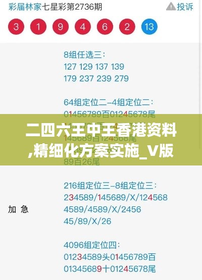 二四六王中王香港资料,精细化方案实施_V版18.848-4