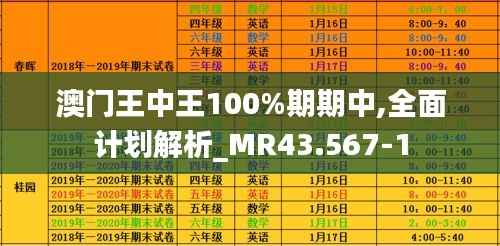 澳门王中王100%期期中,全面计划解析_MR43.567-1