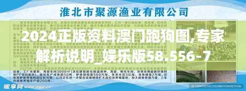 2024正版资料澳门跑狗图,专家解析说明_娱乐版58.556-7