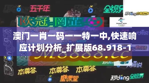 澳门一肖一码一一特一中,快速响应计划分析_扩展版68.918-1