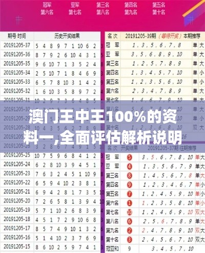 澳门王中王100%的资料一,全面评估解析说明_创新版15.303-3