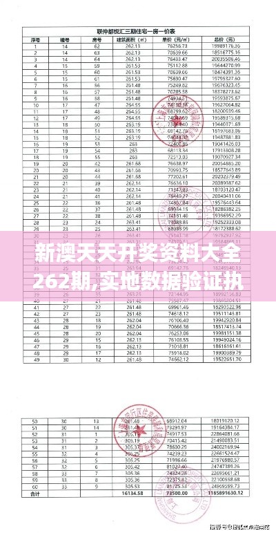 新澳天天开奖资料大全262期,实地数据验证执行_WP11.305-3