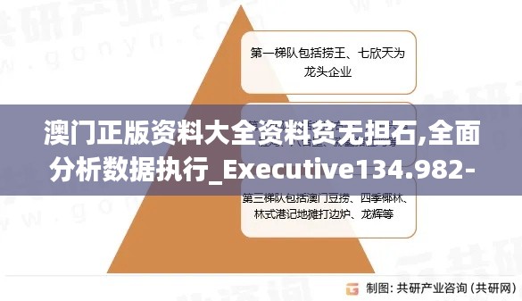 澳门正版资料大全资料贫无担石,全面分析数据执行_Executive134.982-7