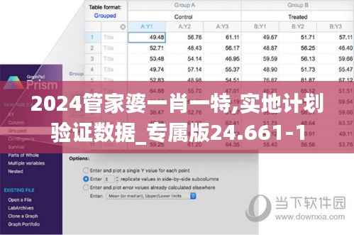 2024管家婆一肖一特,实地计划验证数据_专属版24.661-1