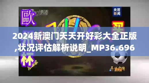 2024新澳门天天开好彩大全正版,状况评估解析说明_MP36.696-1