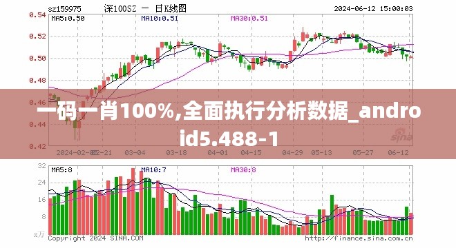 一码一肖100%,全面执行分析数据_android5.488-1