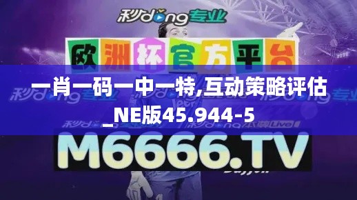 一肖一码一中一特,互动策略评估_NE版45.944-5