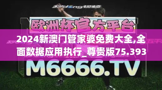 2024新澳门管家婆免费大全,全面数据应用执行_尊贵版75.393-4